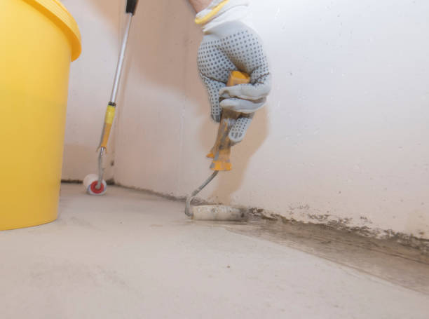 Best Pest Control for Multi-Family Homes  in Glendale, CA